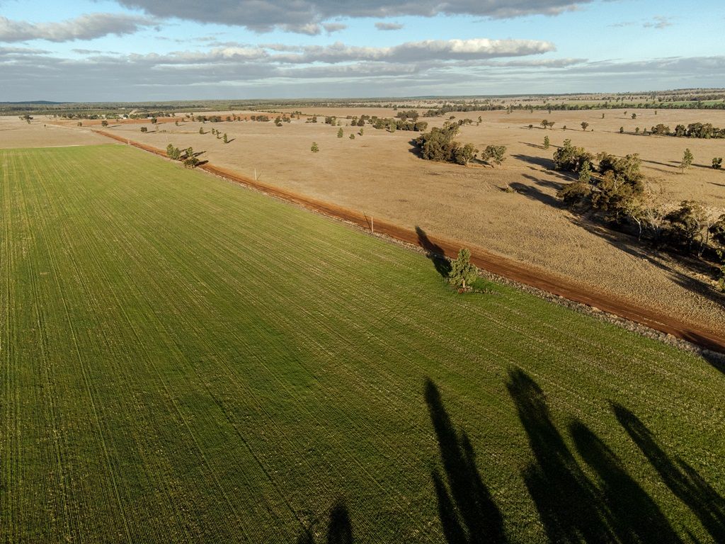 465 Quilties Corner Road, Buddigower, West Wyalong NSW 2671, Image 1