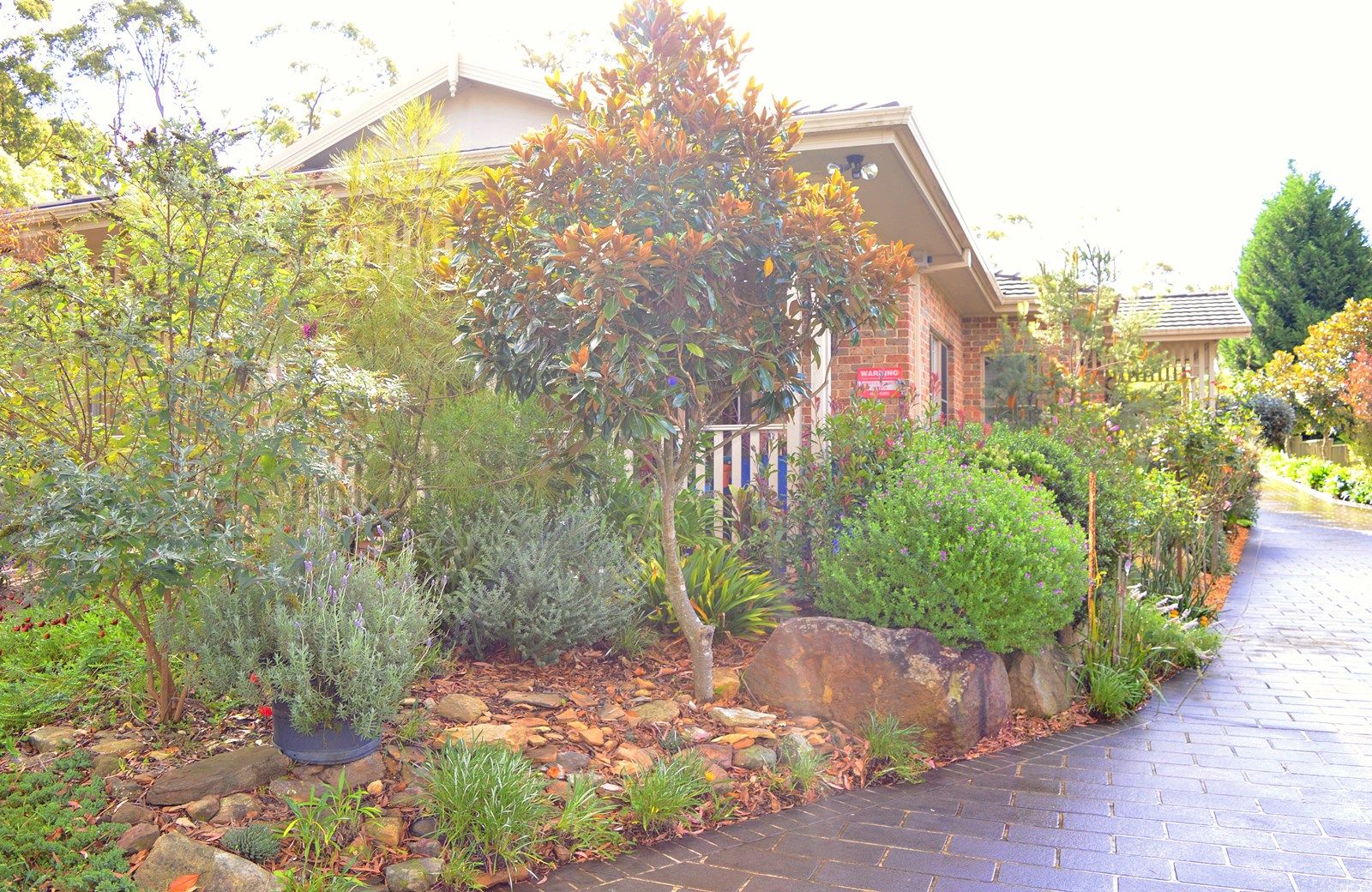 20 Bertha Street, Hill Top NSW 2575, Image 1