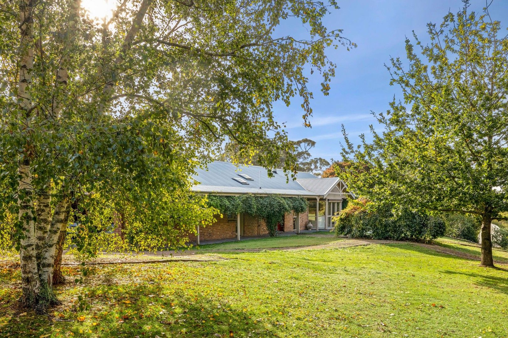 13 Trewhella Drive, Newham VIC 3442, Image 0