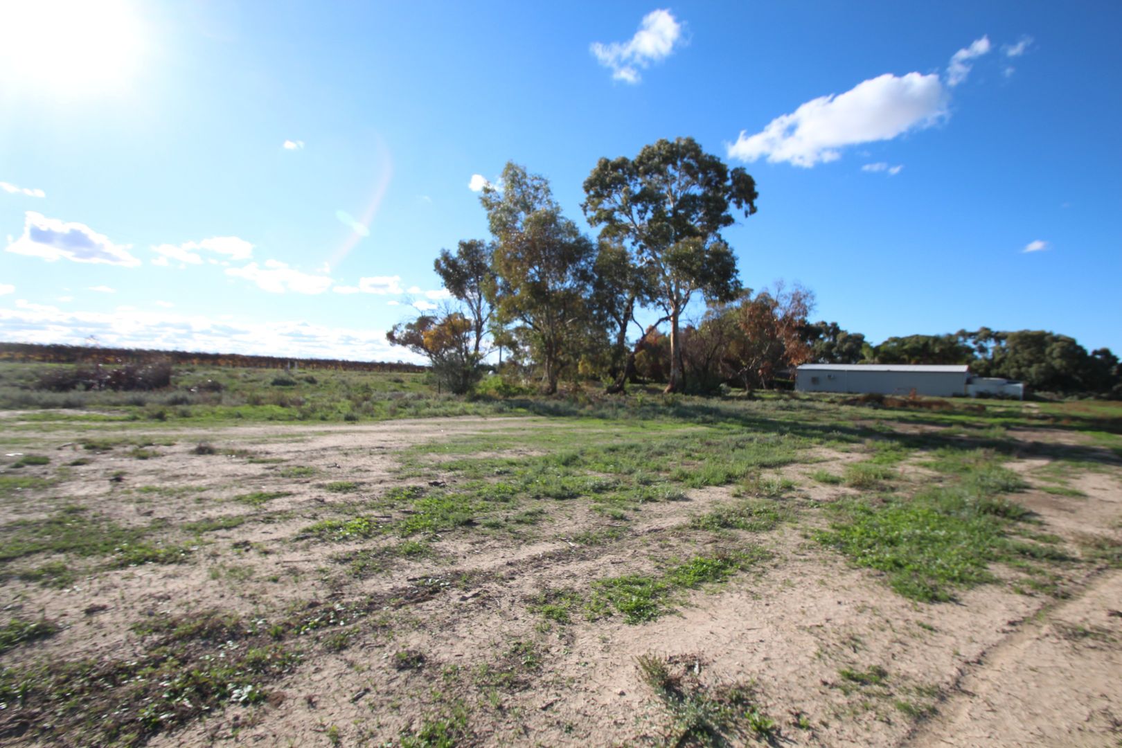 Lot 105 Moorna, Renmark SA 5341, Image 1