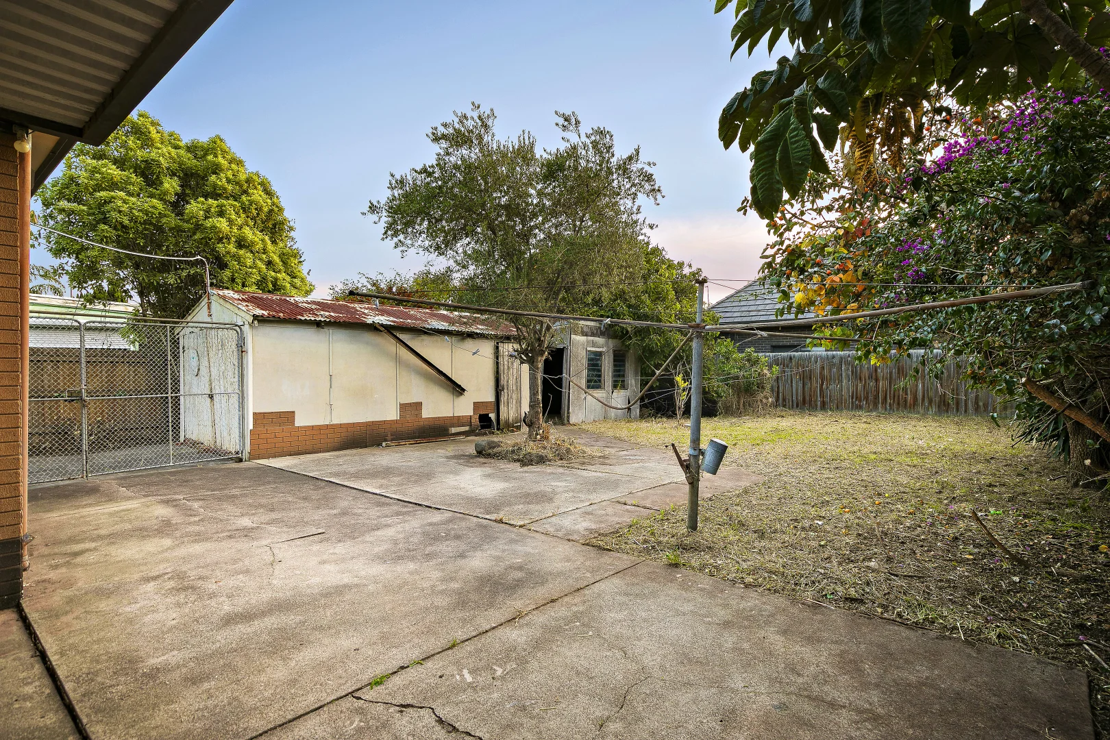 Image 15