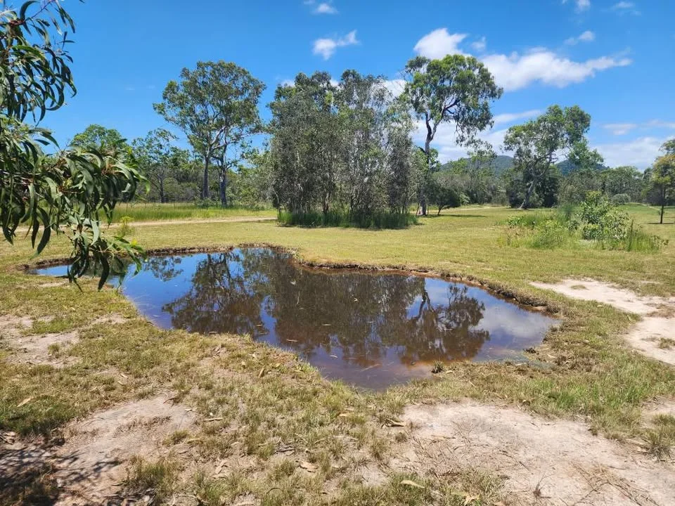 98 Anderson Way, Agnes Water QLD 4677