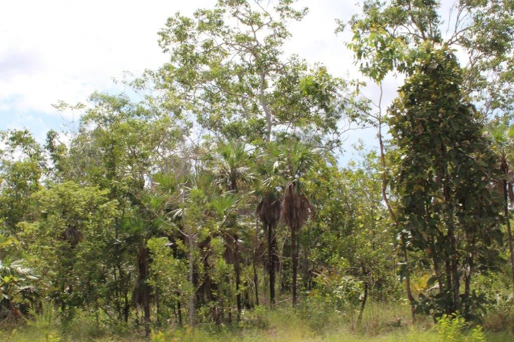 Additional image 16 of 155 Serrata Road, Dundee Downs NT 0840