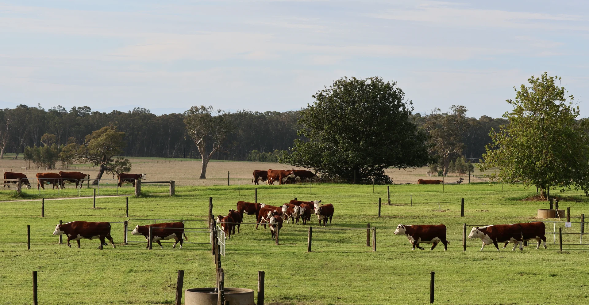 Additional image 26 of 103 Kellys Road, Longford VIC 3851