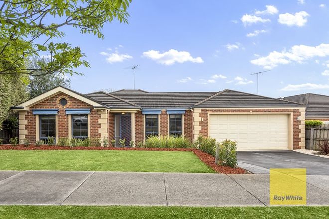 Picture of 12 Pethajohn Parade, GROVEDALE VIC 3216