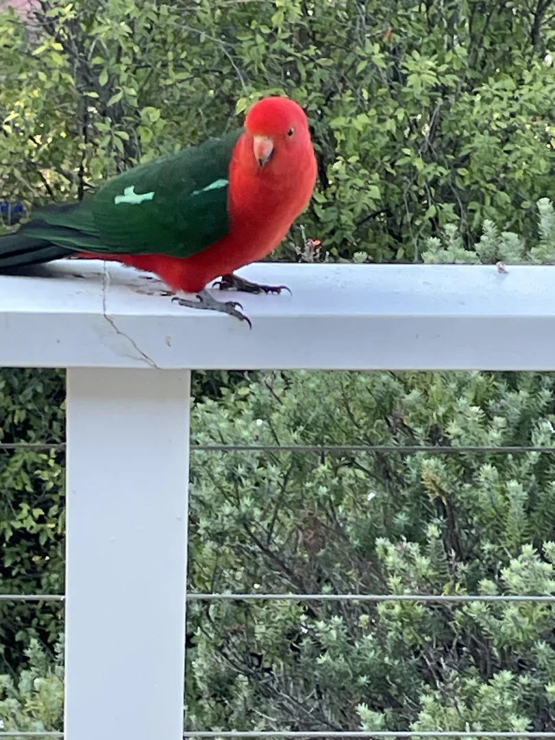 Image 20