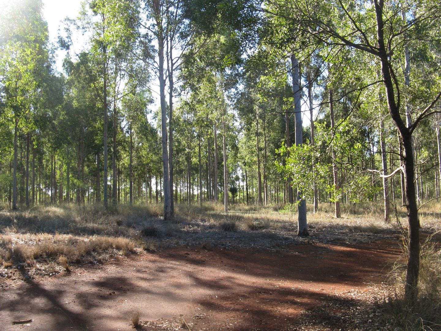 Lot 209 Stalworth Road, Proston QLD 4613, Image 2