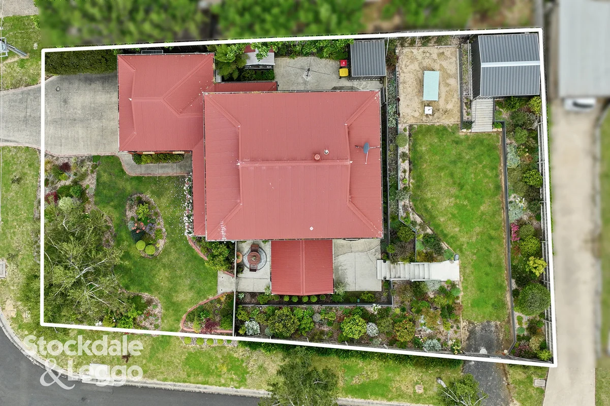 Image 20