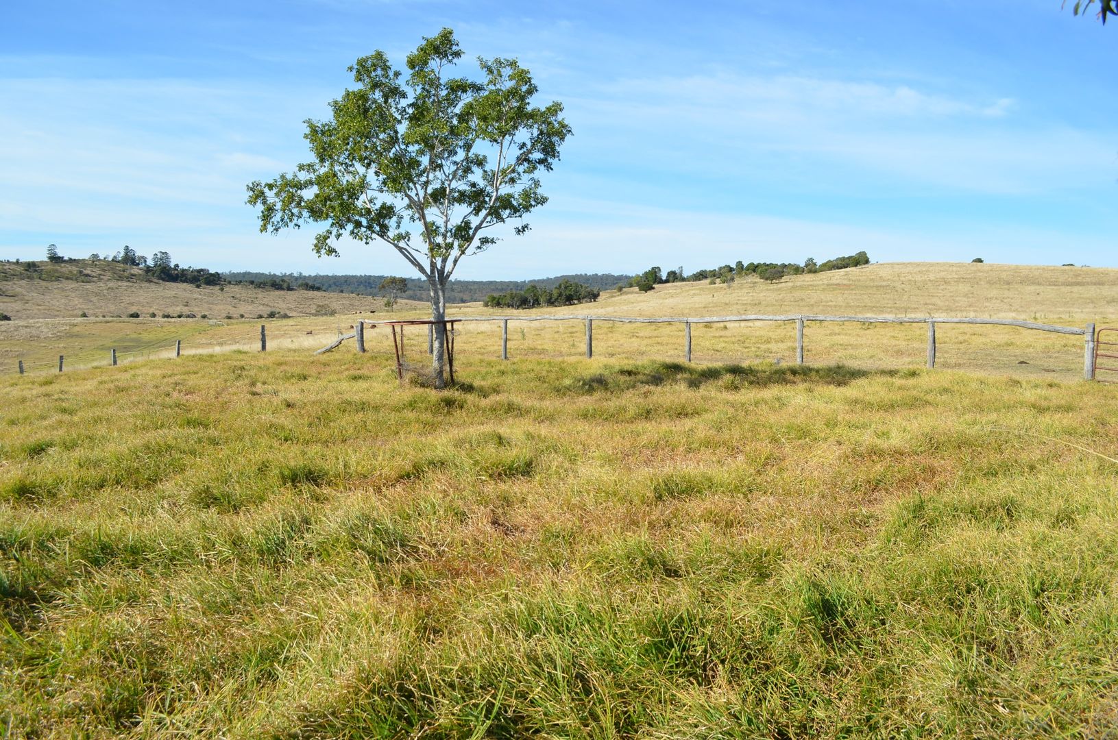 59 Thornville Range Road, Thornville QLD 4352, Image 1