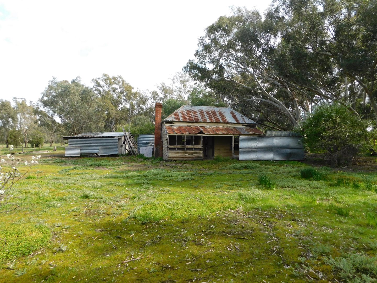 207 Euroa Main Road, Euroa VIC 3666, Image 1