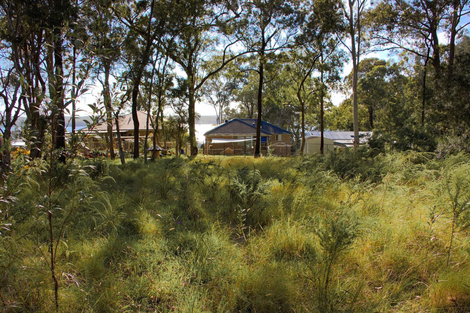 Lot 1 The Ridgeway, North Arm Cove NSW 2324, Image 1