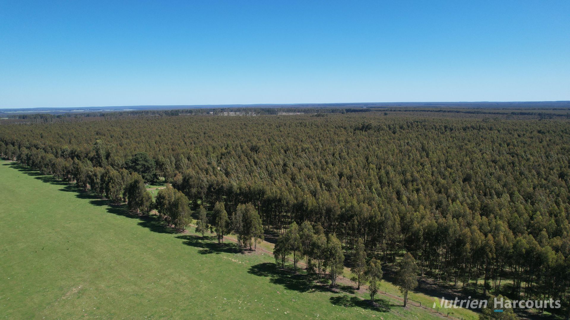 Lot 12/"Condah" DigbyBranxholme Road, Grassdale VIC 3302 House for Sale