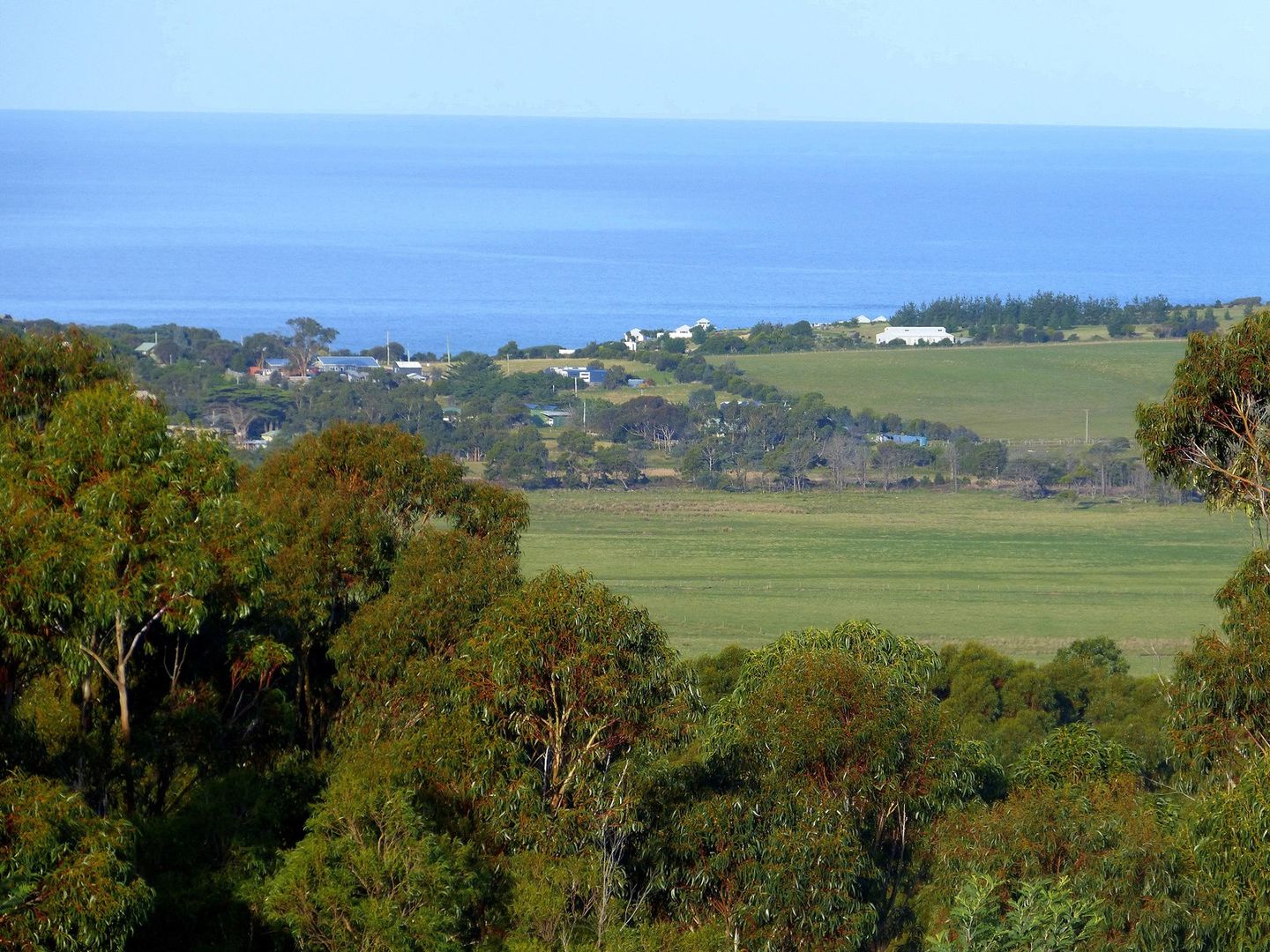 Lot 6 Mcmanus Drive, Falmouth TAS 7215, Image 1