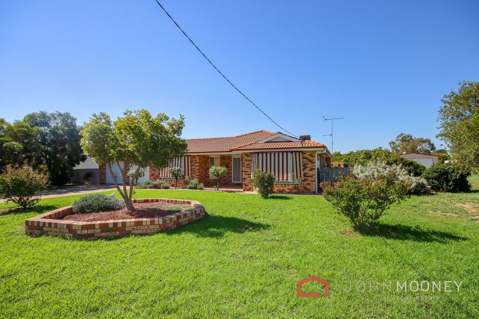 51-53 Emily Street, The Rock NSW 2655, Image 0