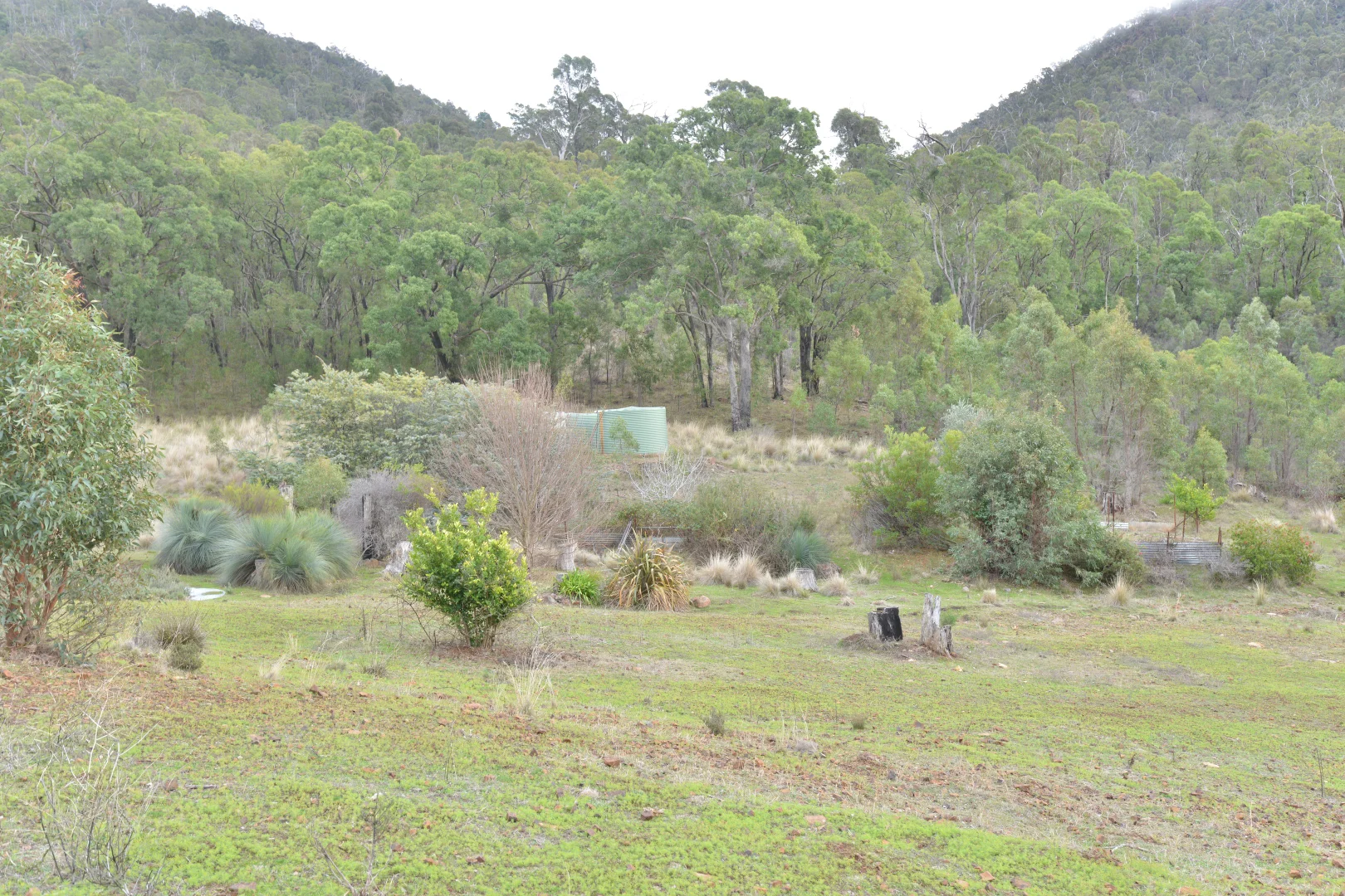 Image 11