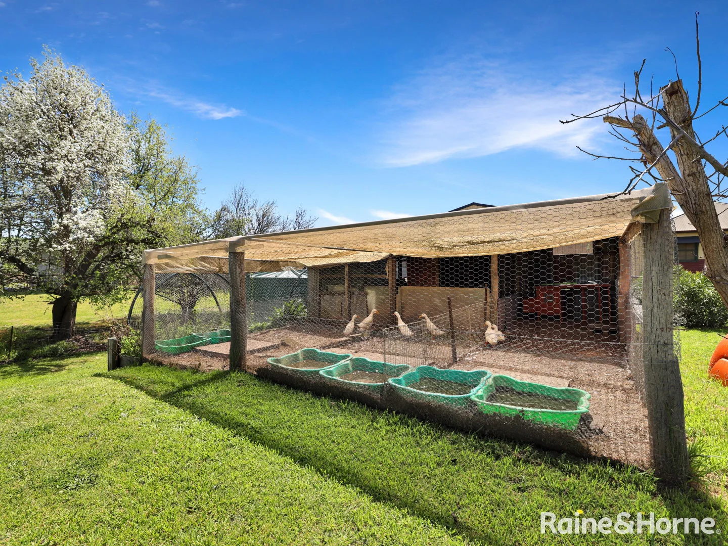 Additional image 11 of 110 Rockley Road, Perthville NSW 2795
