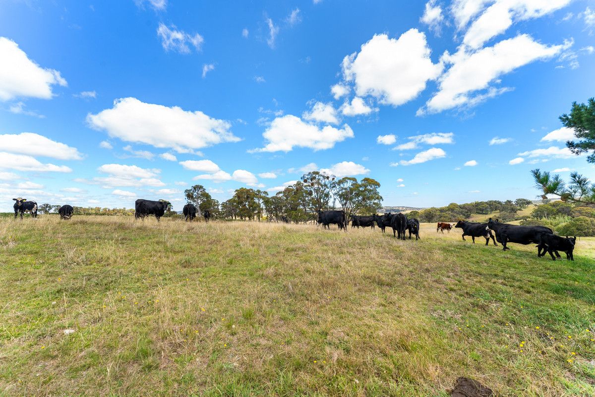 537 Redground Road, Crookwell NSW 2583, Image 0