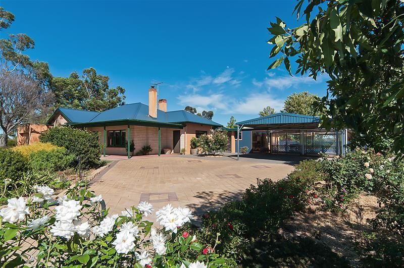 152 Light Pass Road, Stockwell SA 5355, Image 0