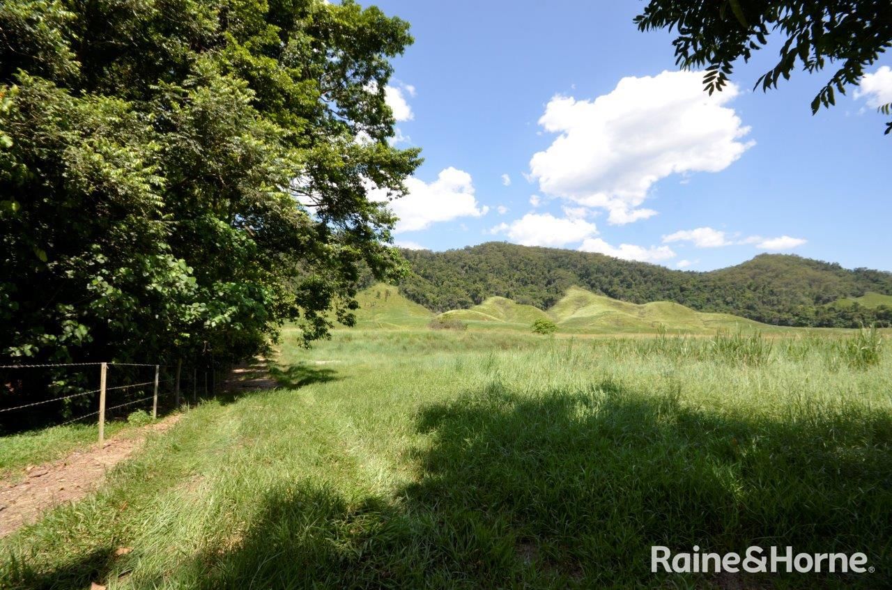 Lot 1 Stewart Creek Road (Stewart Creek Valley), Lower Daintree QLD 4873, Image 1