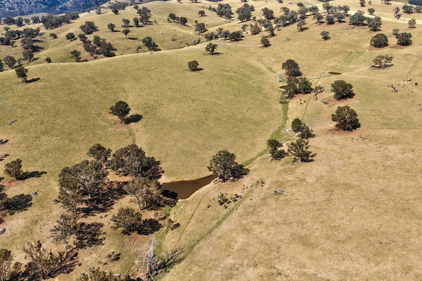 Additional image 9 of 89 Ensay-Doctors Flat Road, Ensay VIC 3895