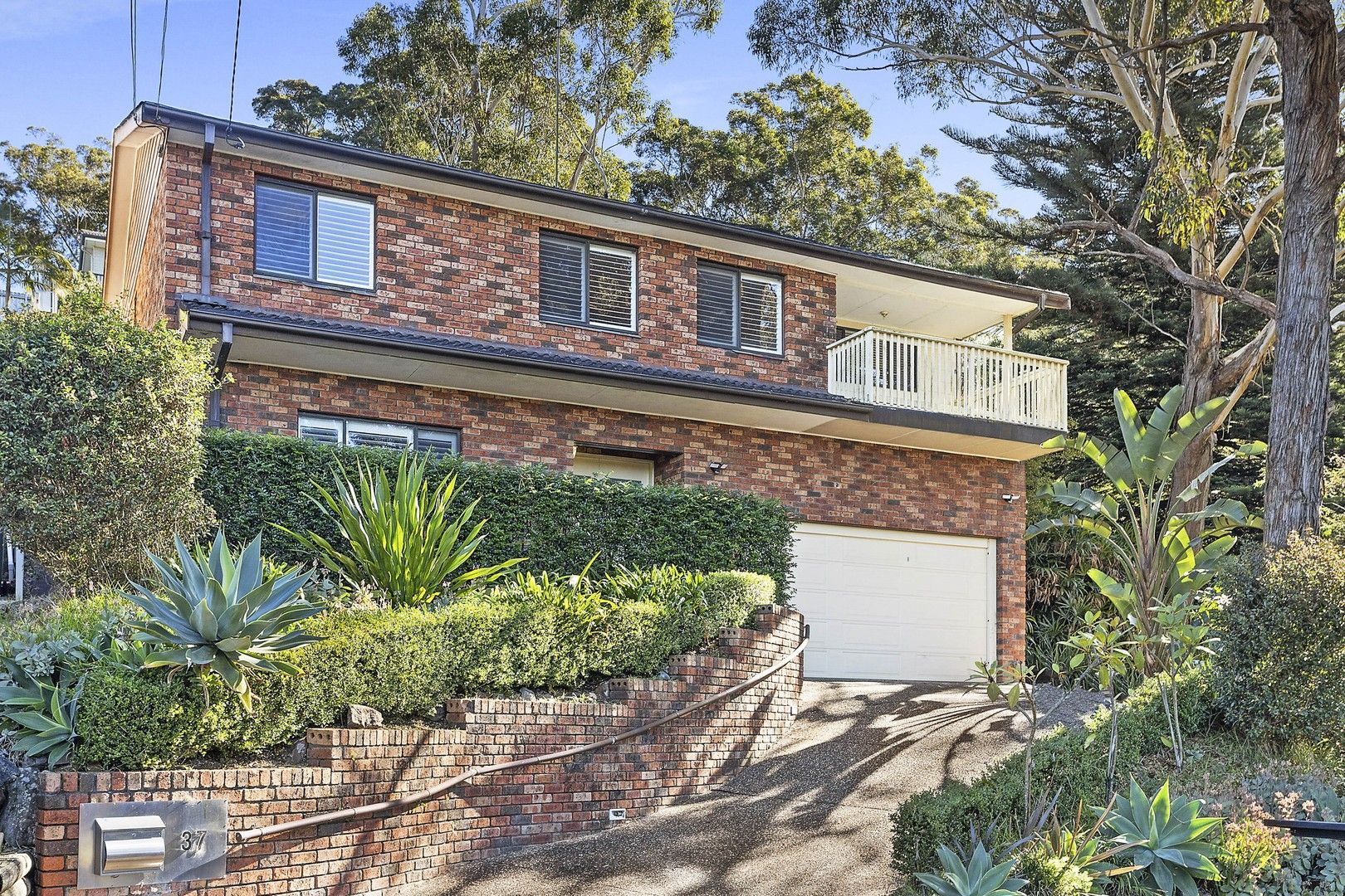 37 Cowan Street, Oyster Bay NSW 2225 House For Rent Domain