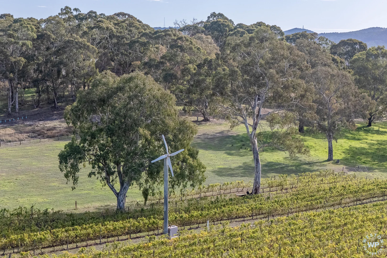 Image 11