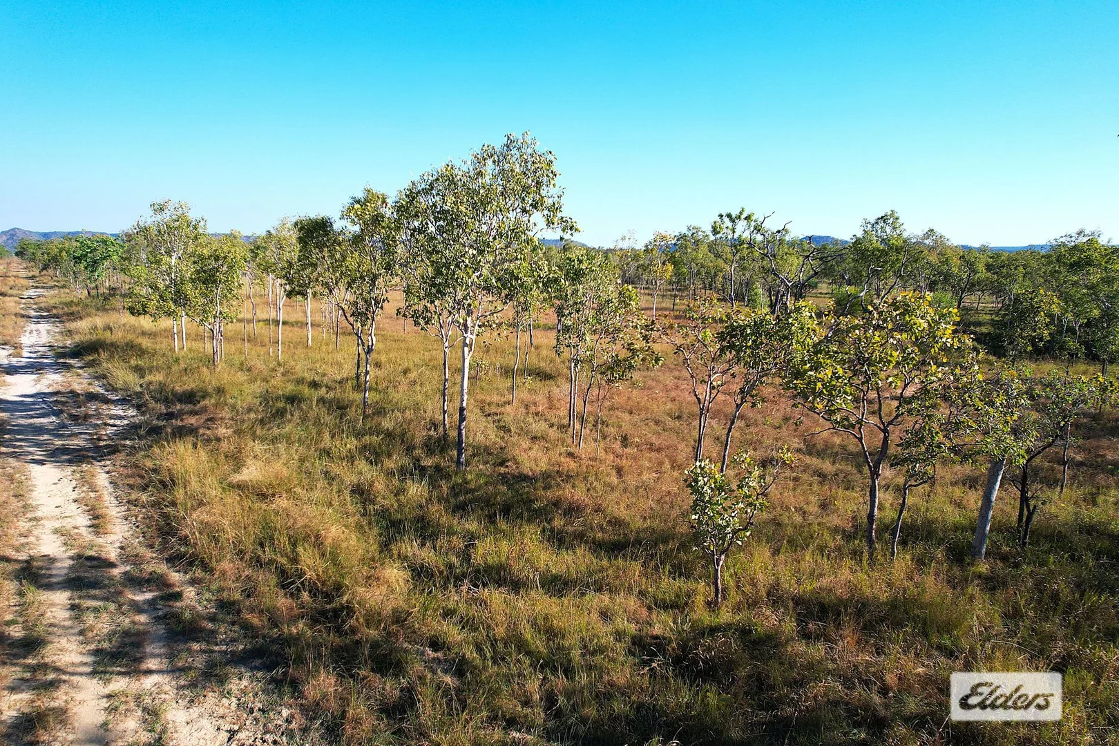 Image 31