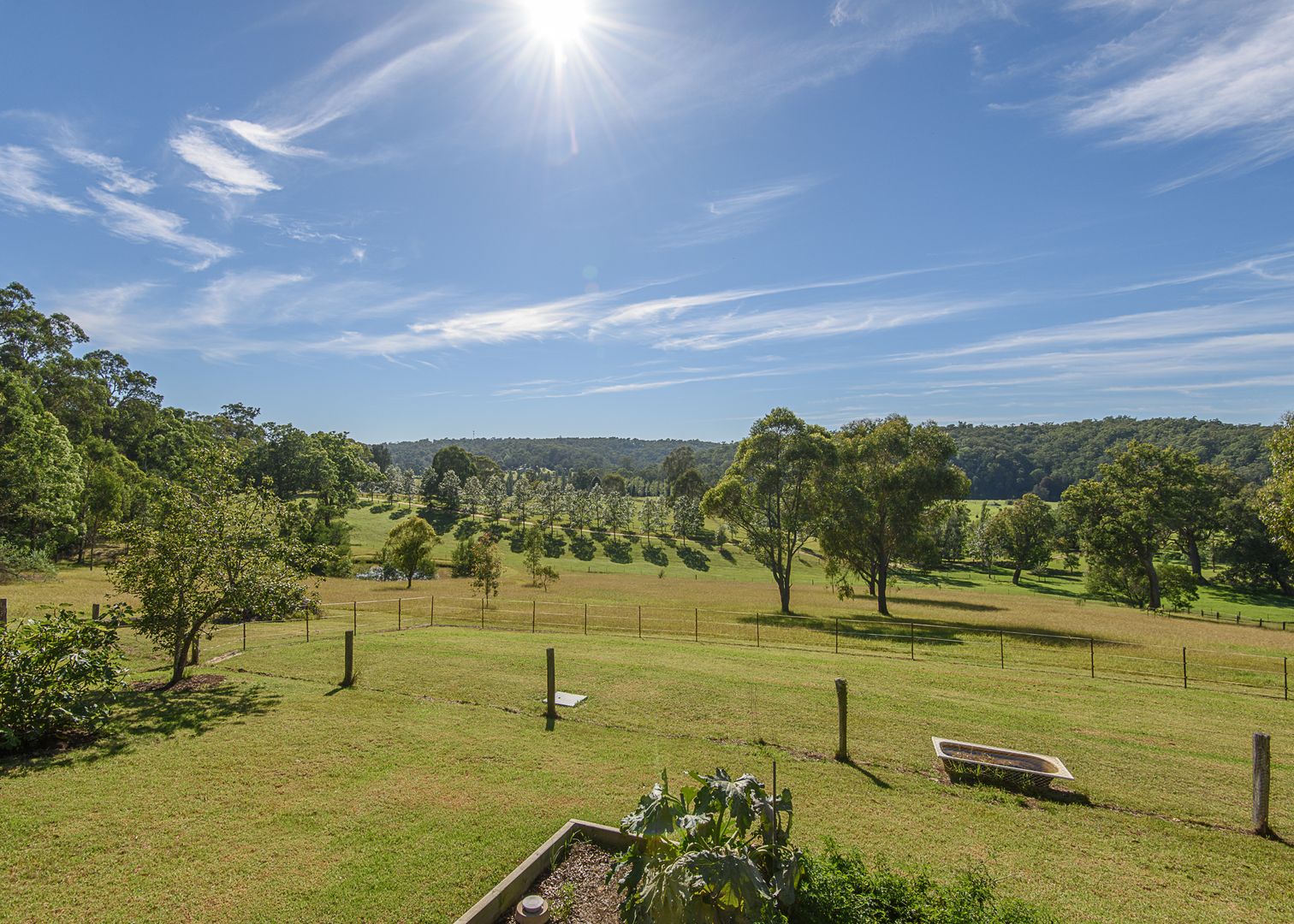 229 Wamban Road, Moruya NSW 2537, Image 1