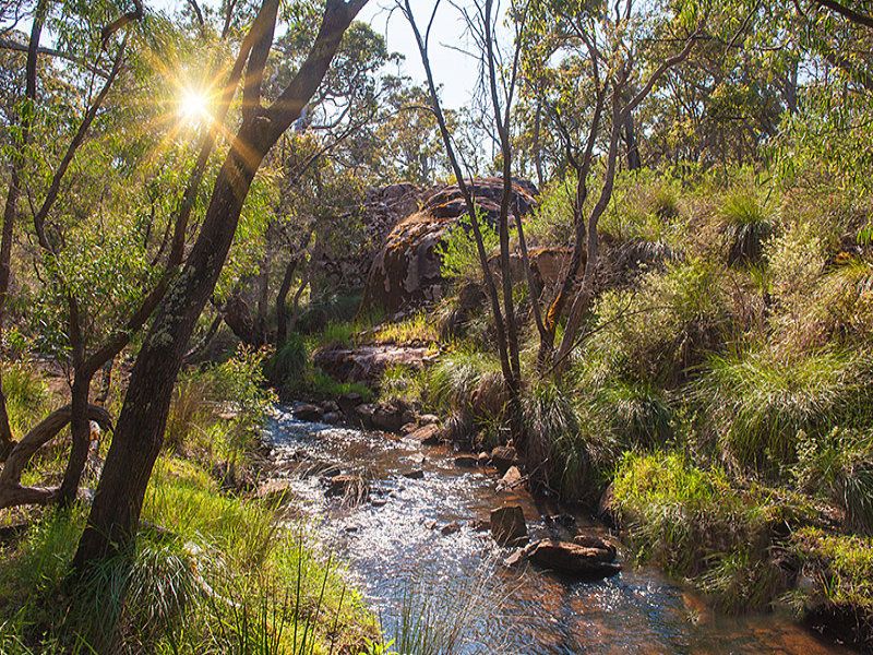 Lot 5 Caves Road, Burnside WA 6285, Image 1