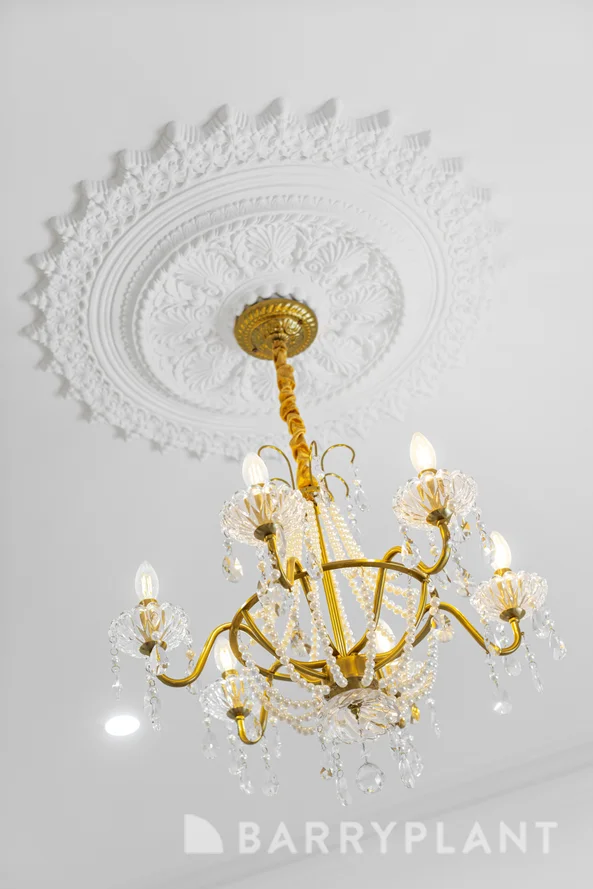 Additional image 30 of 5 Glencairn Avenue, Coburg VIC 3058