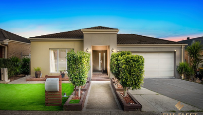 Picture of 77 Botanical Drive, CAROLINE SPRINGS VIC 3023