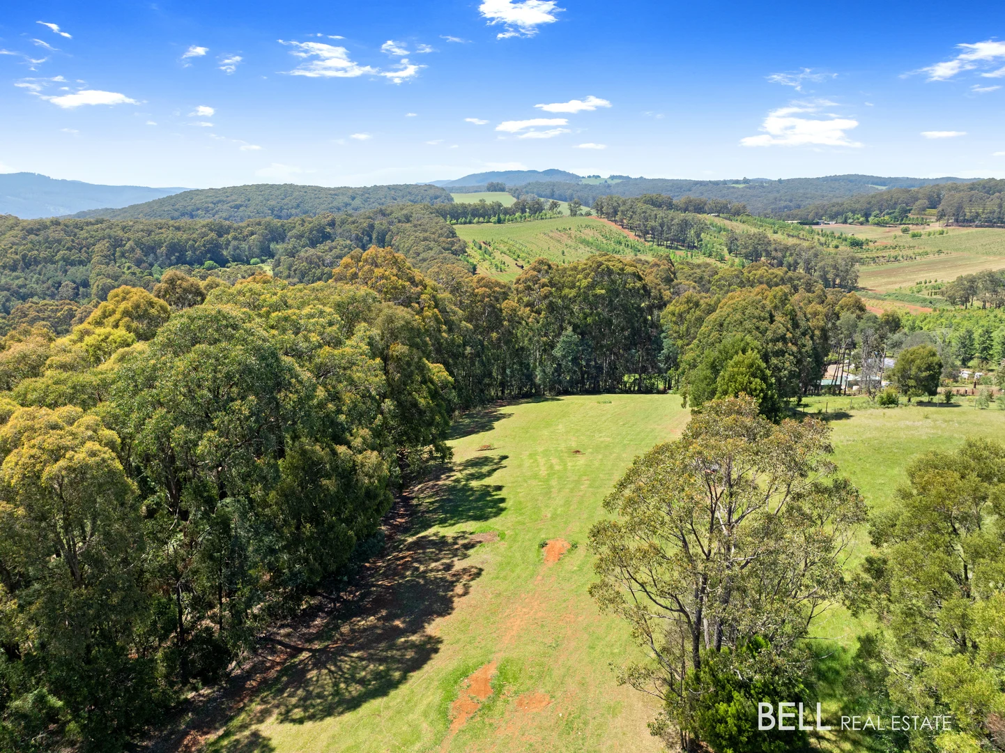 Additional image 21 of 795 Gembrook-Launching Place Road, Hoddles Creek VIC 3139