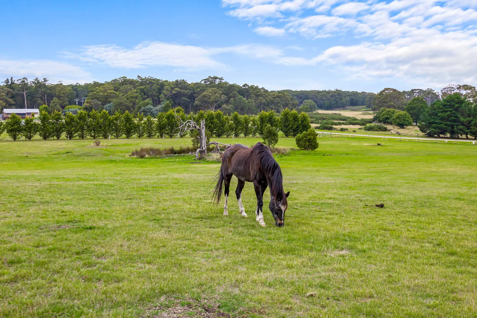 Additional image 31 of 20 Old Cartons Lane, Gordon VIC 3345