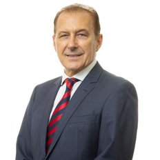 Albert Fontana, Sales representative
