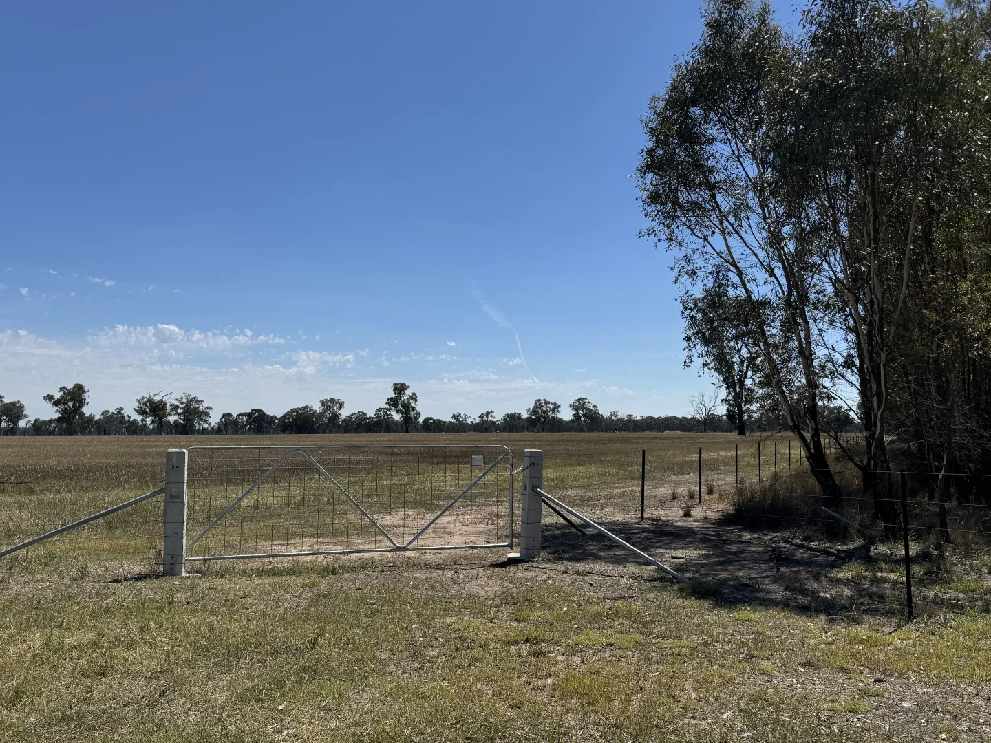 Image 18