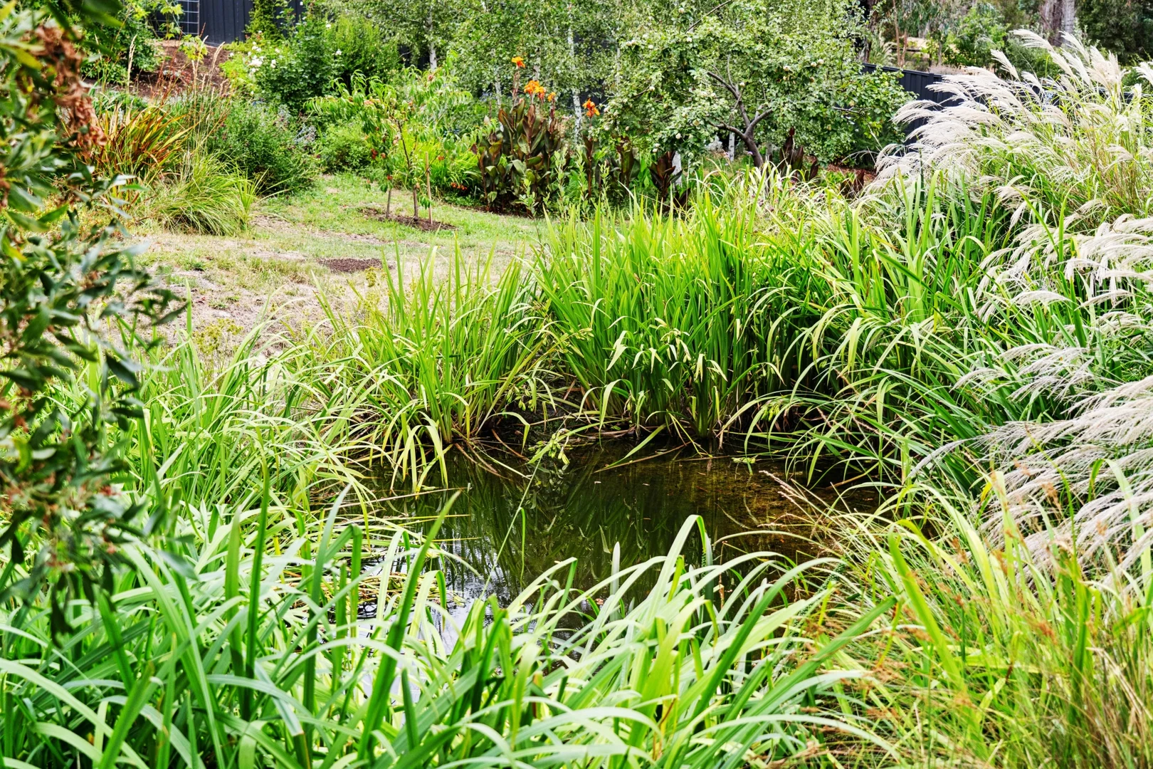 Additional image 12 of 3 Saint Georges Lake Road, Creswick VIC 3363