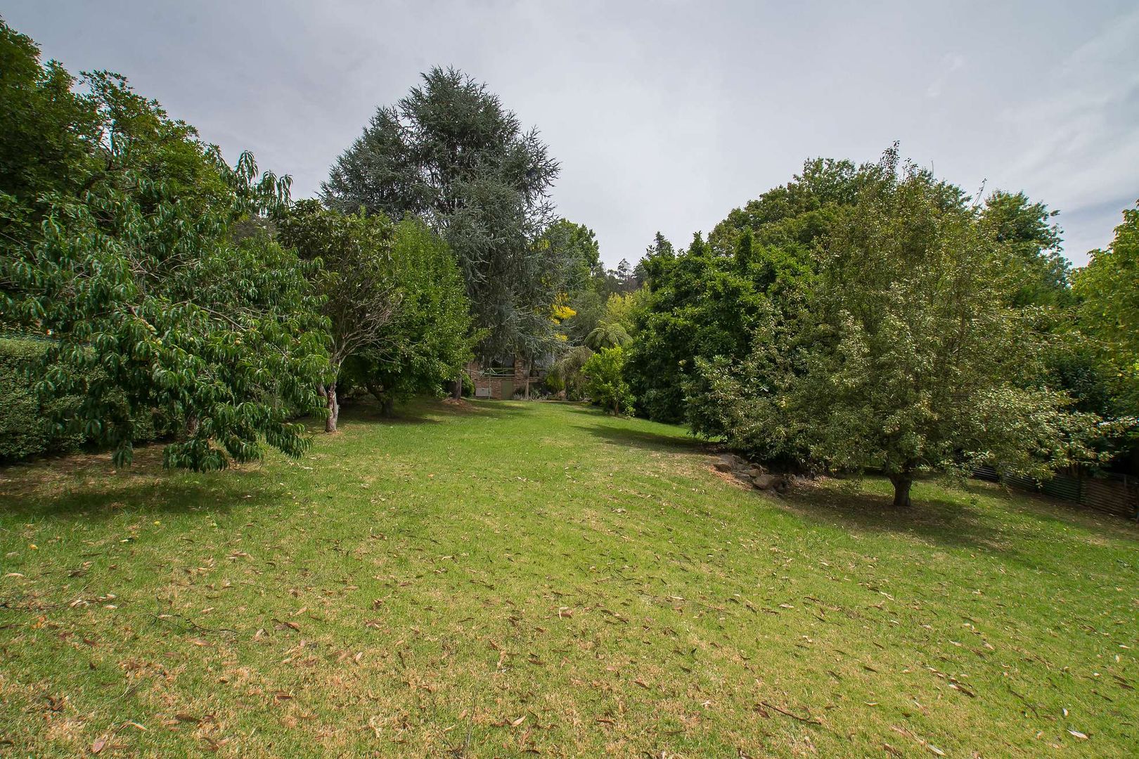 6 The Patch Road, The Patch VIC 3792, Image 2