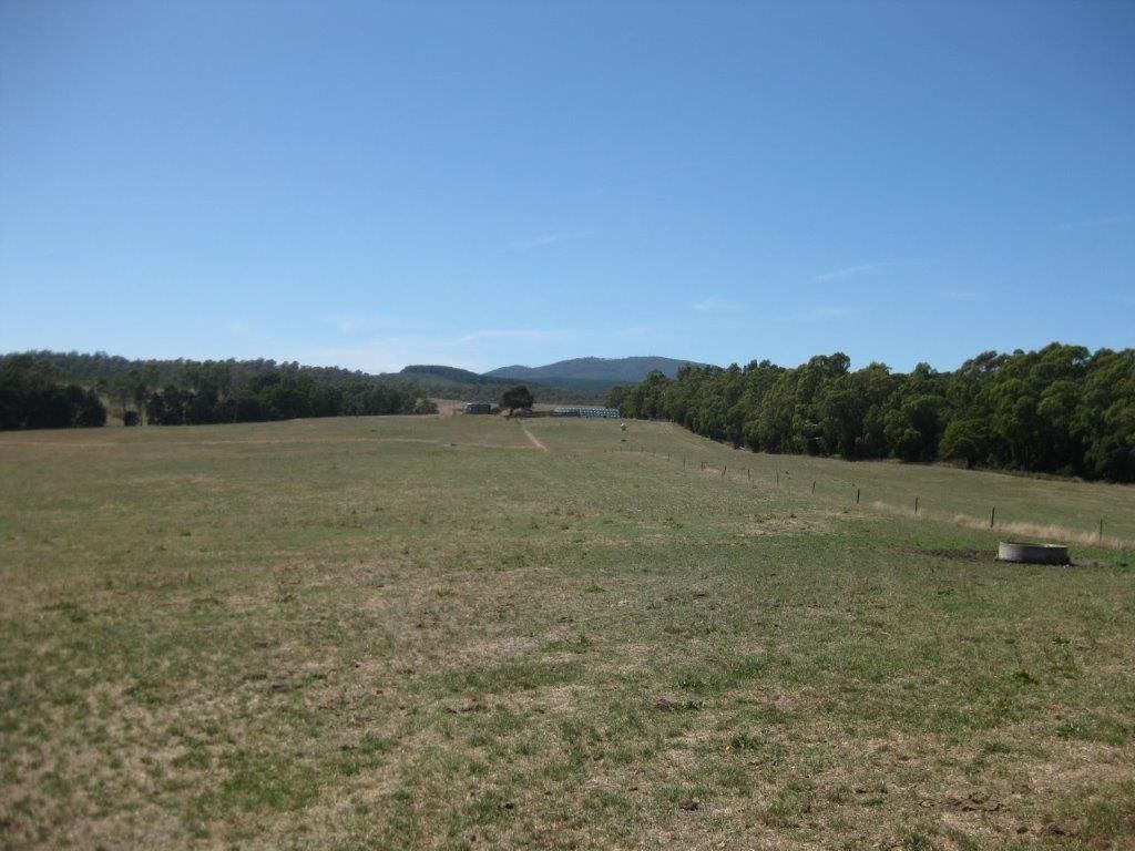 1152 Forester Road, Forester TAS 7260, Image 0