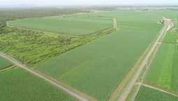 Picture of Home Hill QLD 4806, HOME HILL QLD 4806