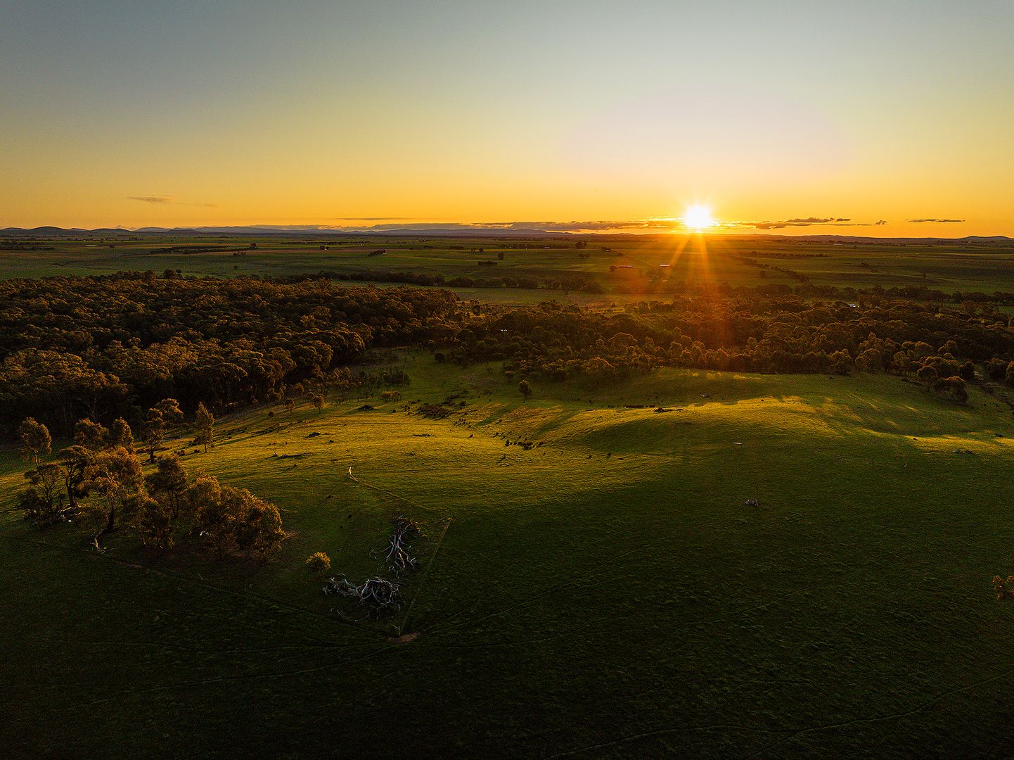 Lot 79 O'callaghans Road, Campbelltown VIC 3364 Vacant Land for Sale