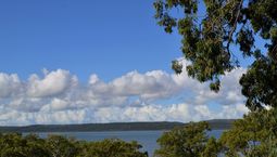 Picture of 21 Blue Bay Crescent, MACLEAY ISLAND QLD 4184