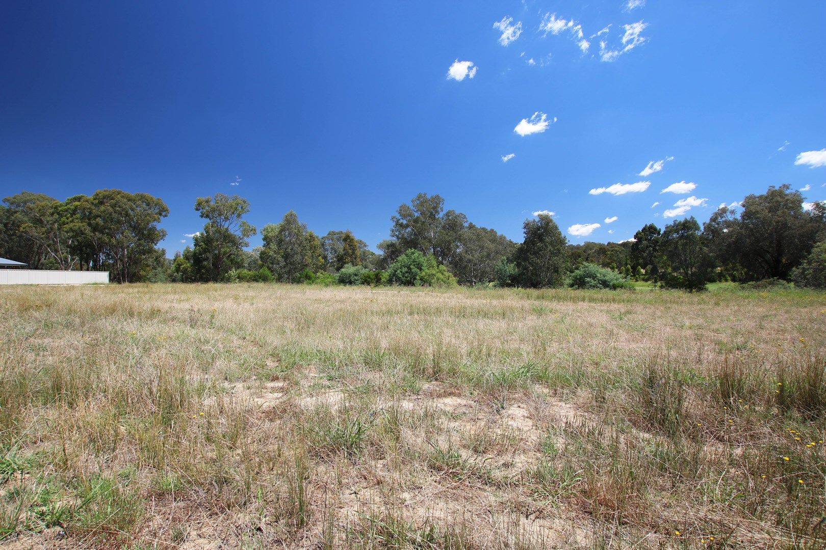 56 Woolshed Drive, Thurgoona NSW 2640