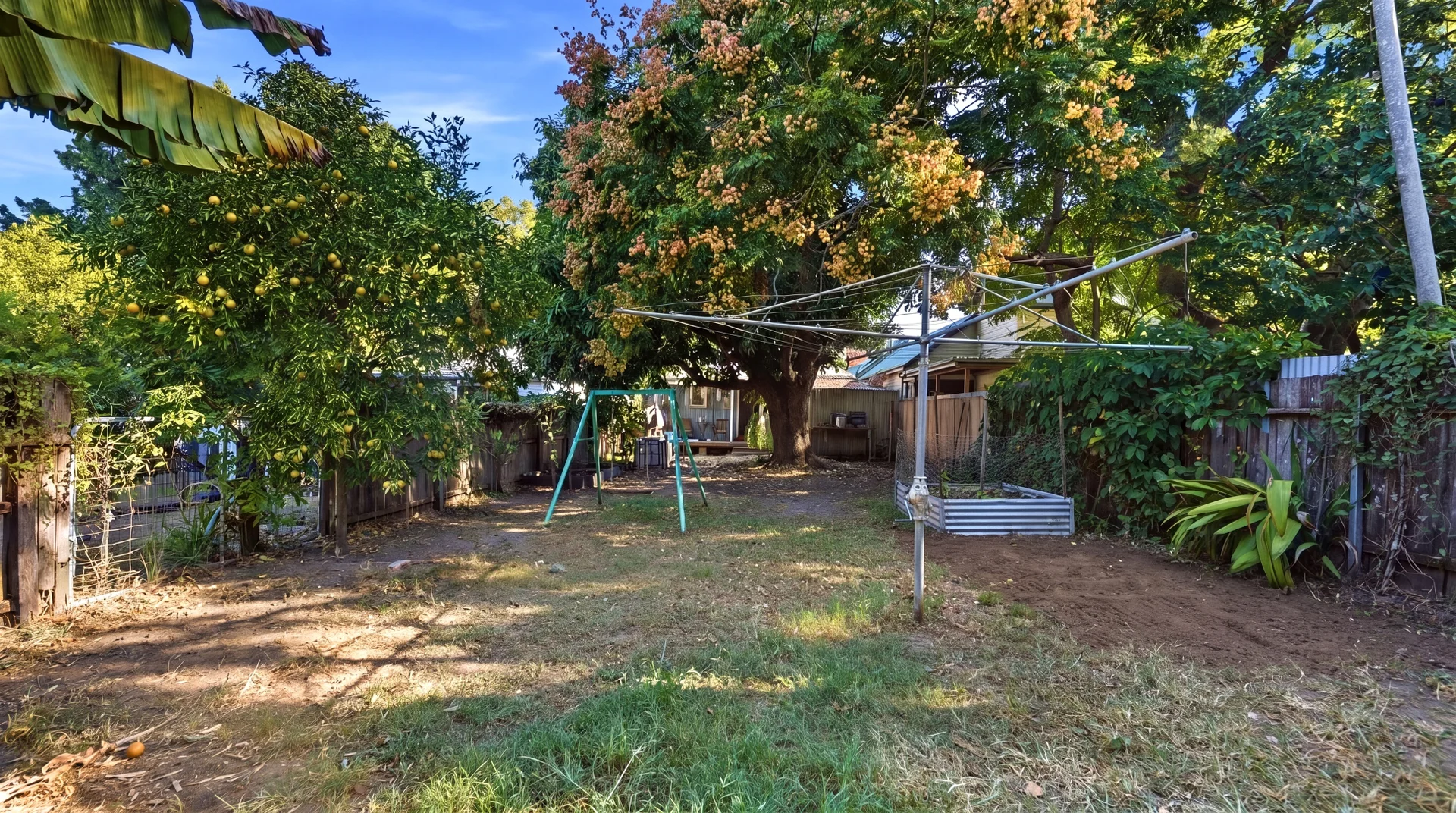 Image 12