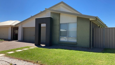 Picture of 13 Rehn Road, WHYALLA JENKINS SA 5609