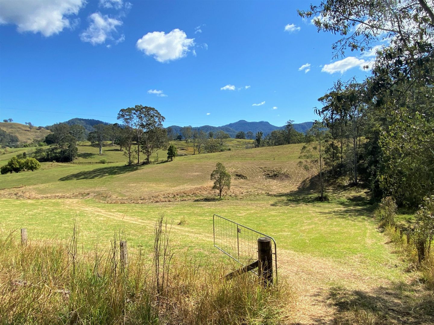 Lot 8 Alfred Road, Killabakh NSW 2429, Image 1