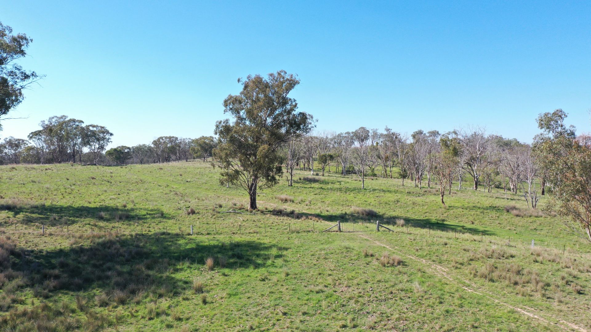 216 Mt Drummond Road, Bundarra NSW 2359 House for Sale 1,375,000