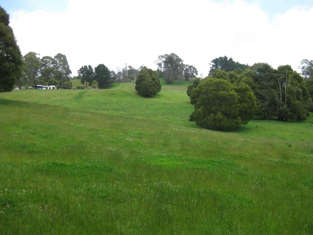 3 Stevenson Road, Lower Barrington TAS 7306 House for Sale Domain