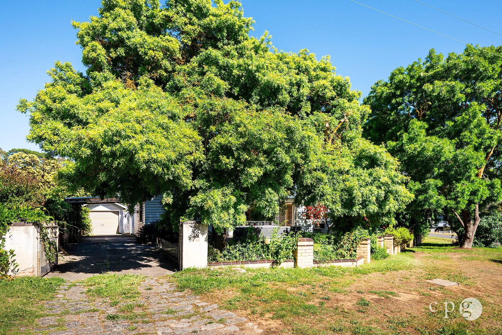 Image 12