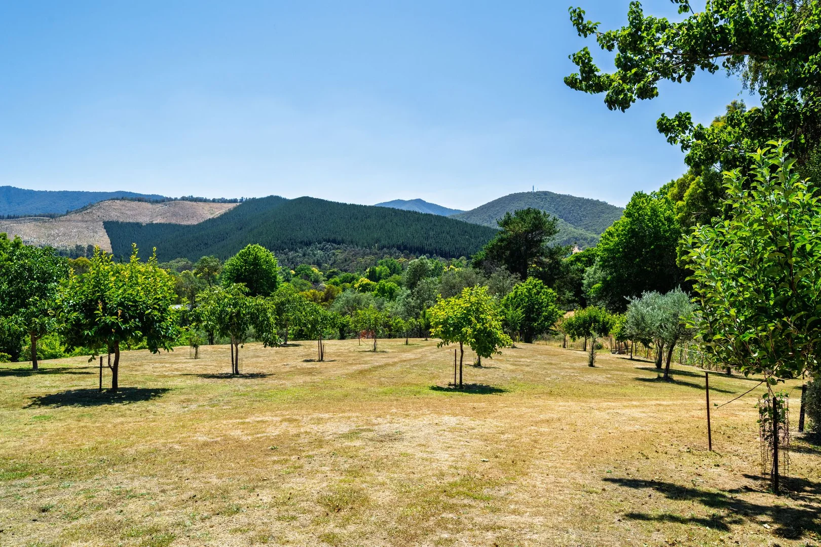 Additional image 26 of 1 James Close, Bright VIC 3741