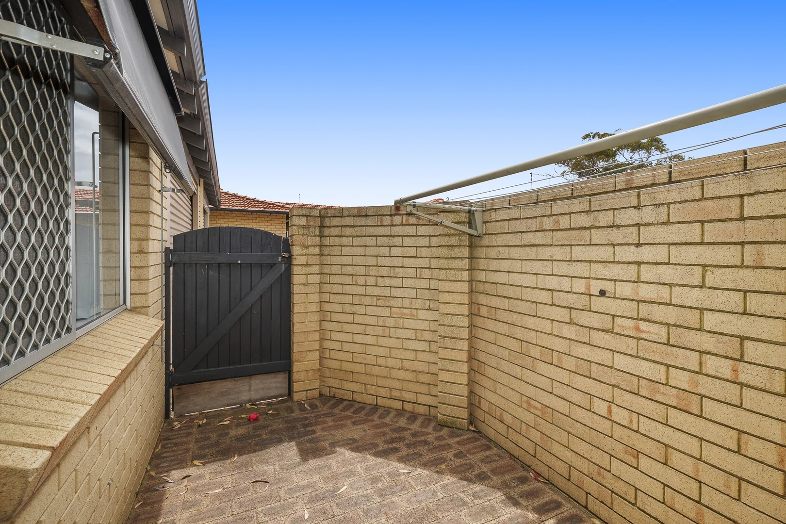 Image 25